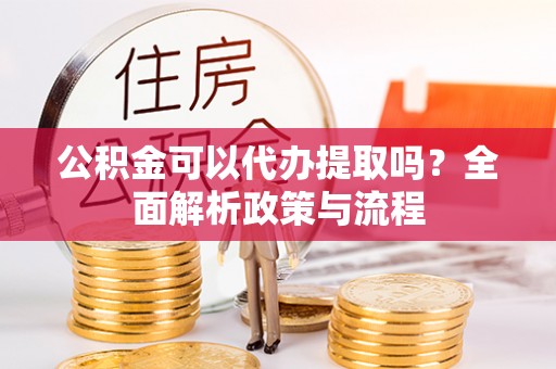 卑南公积金可以代办提取吗？全面解析政策与流程