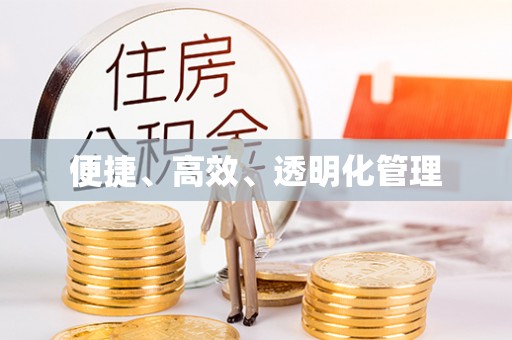 卑南便捷、高效、透明化管理