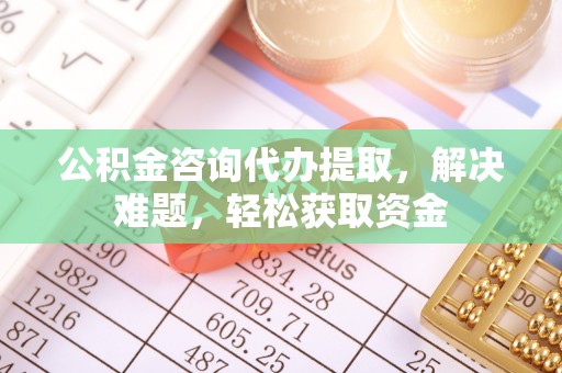 卑南公积金咨询代办提取，解决难题，轻松获取资金