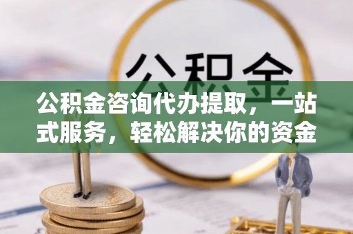卑南公积金咨询代办提取，一站式服务，轻松解决你的资金难题