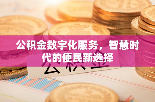 卑南公积金数字化服务，智慧时代的便民新选择