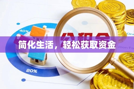 卑南简化生活，轻松获取资金