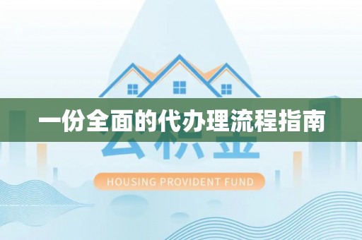 卑南一份全面的代办理流程指南