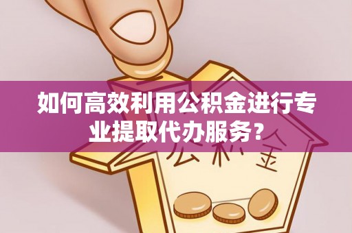 卑南如何高效利用公积金进行专业提取代办服务？