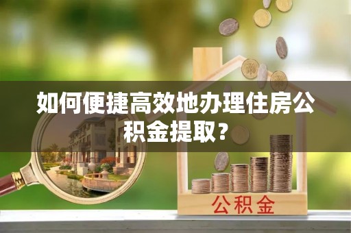 卑南如何便捷高效地办理住房公积金提取？