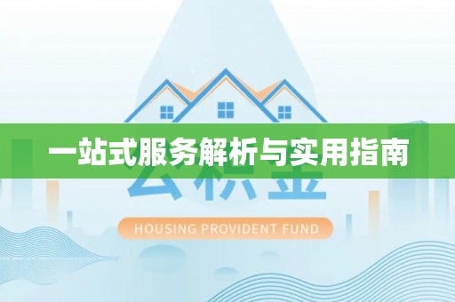 卑南一站式服务解析与实用指南