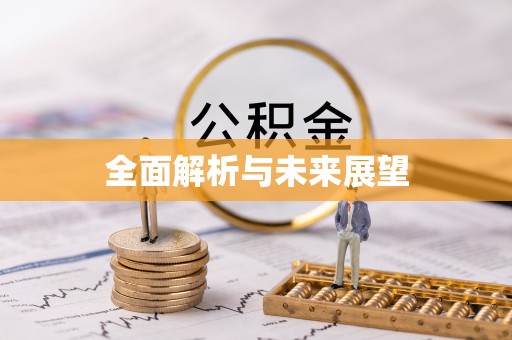 卑南全面解析与未来展望