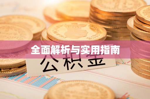 卑南全面解析与实用指南