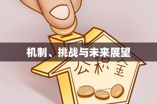 卑南机制、挑战与未来展望