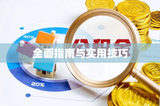 卑南全面指南与实用技巧