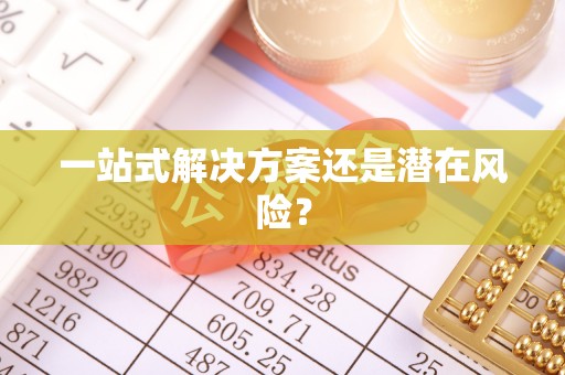 卑南一站式解决方案还是潜在风险？