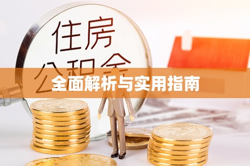 卑南全面解析与实用指南