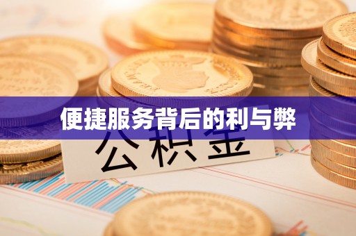卑南便捷服务背后的利与弊