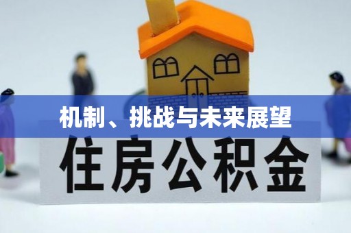 卑南机制、挑战与未来展望